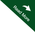 Read More